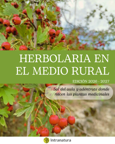 blog-thumbnail